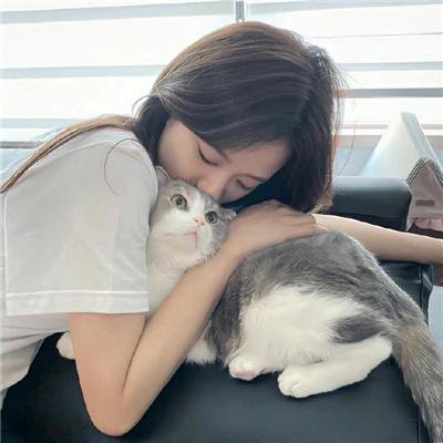 罗伯特·齐默尔曼的爱情